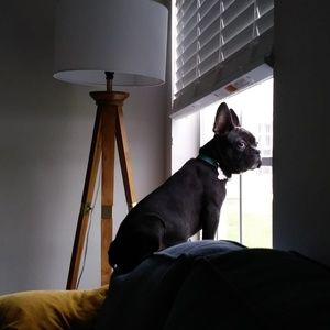 Meet your Posher, Verena